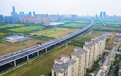 蕭山機(jī)場(chǎng)公路改建工程順利通過竣工質(zhì)量專項(xiàng)驗(yàn)收